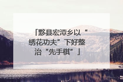 黟县宏潭乡以“绣花功夫”下好整治“先手棋”